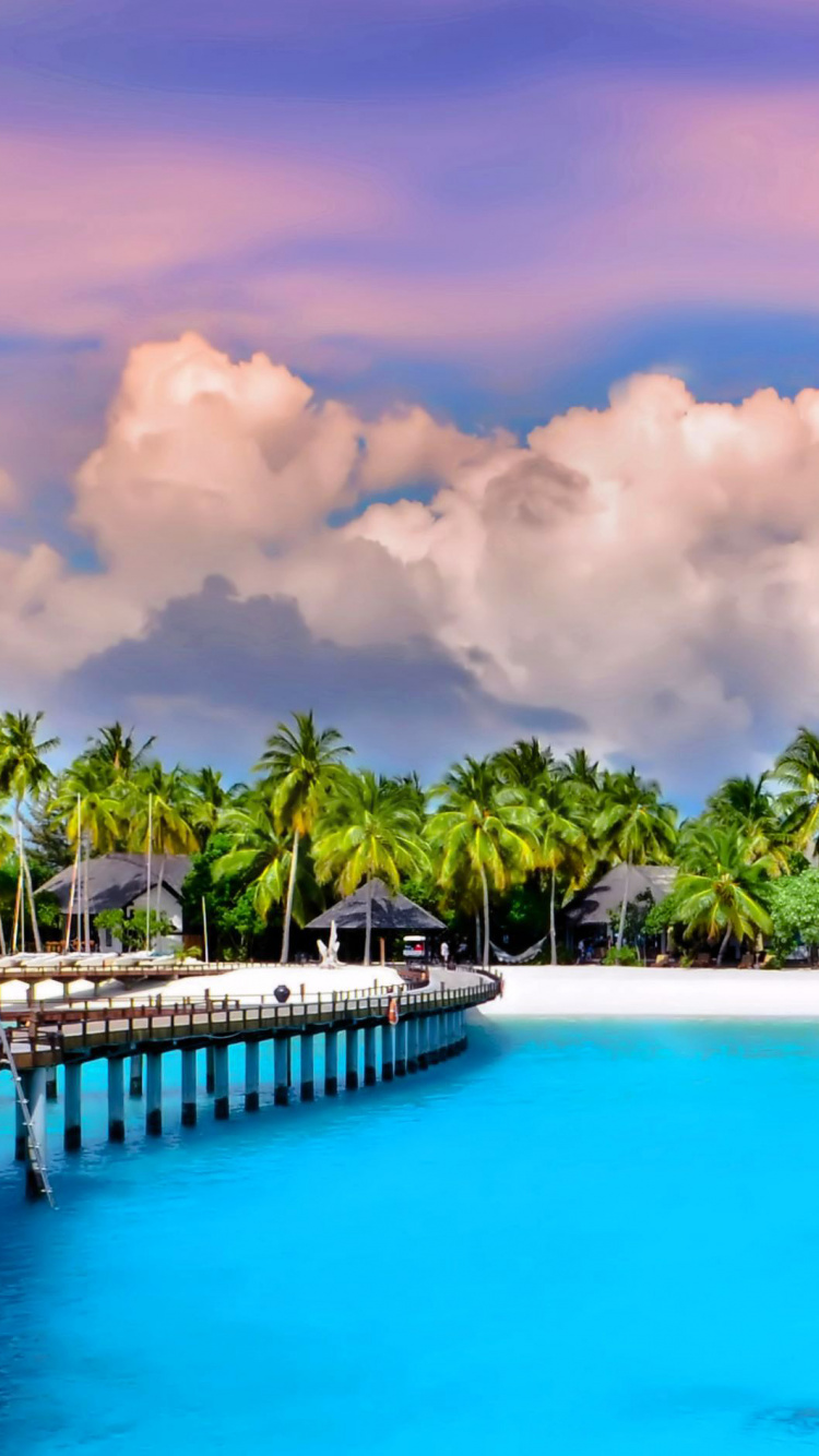 Green Palm Trees Near Swimming Pool Under White Clouds and Blue Sky During Daytime. Wallpaper in 750x1334 Resolution