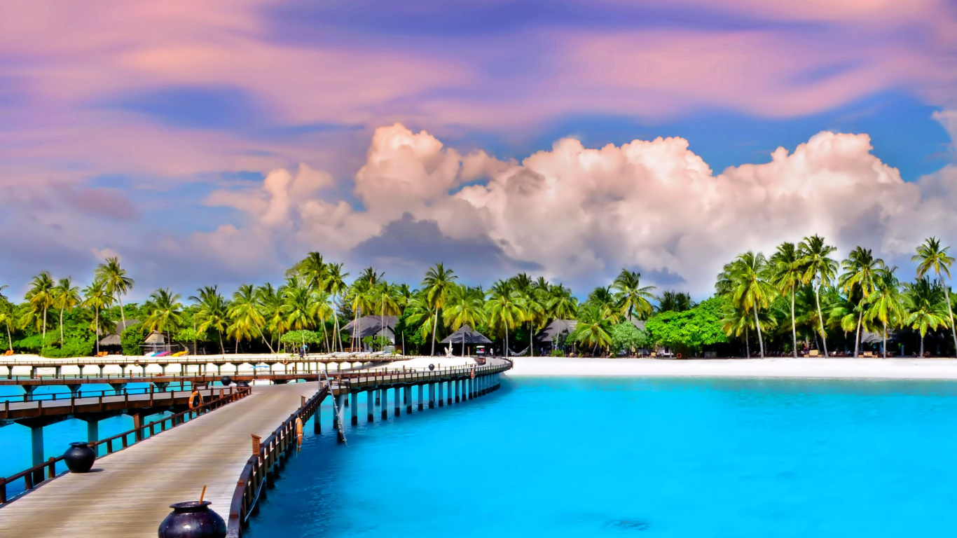 Grüne Palmen in Der Nähe Des Swimmingpools Unter Weißen Wolken Und Blauem Himmel Tagsüber. Wallpaper in 1366x768 Resolution