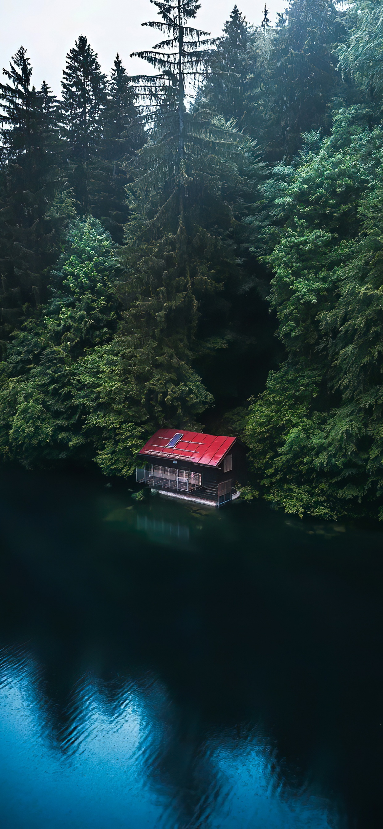 Larch, Damaksnis, Water Transportation, Wetland, Water. Wallpaper in 1242x2688 Resolution