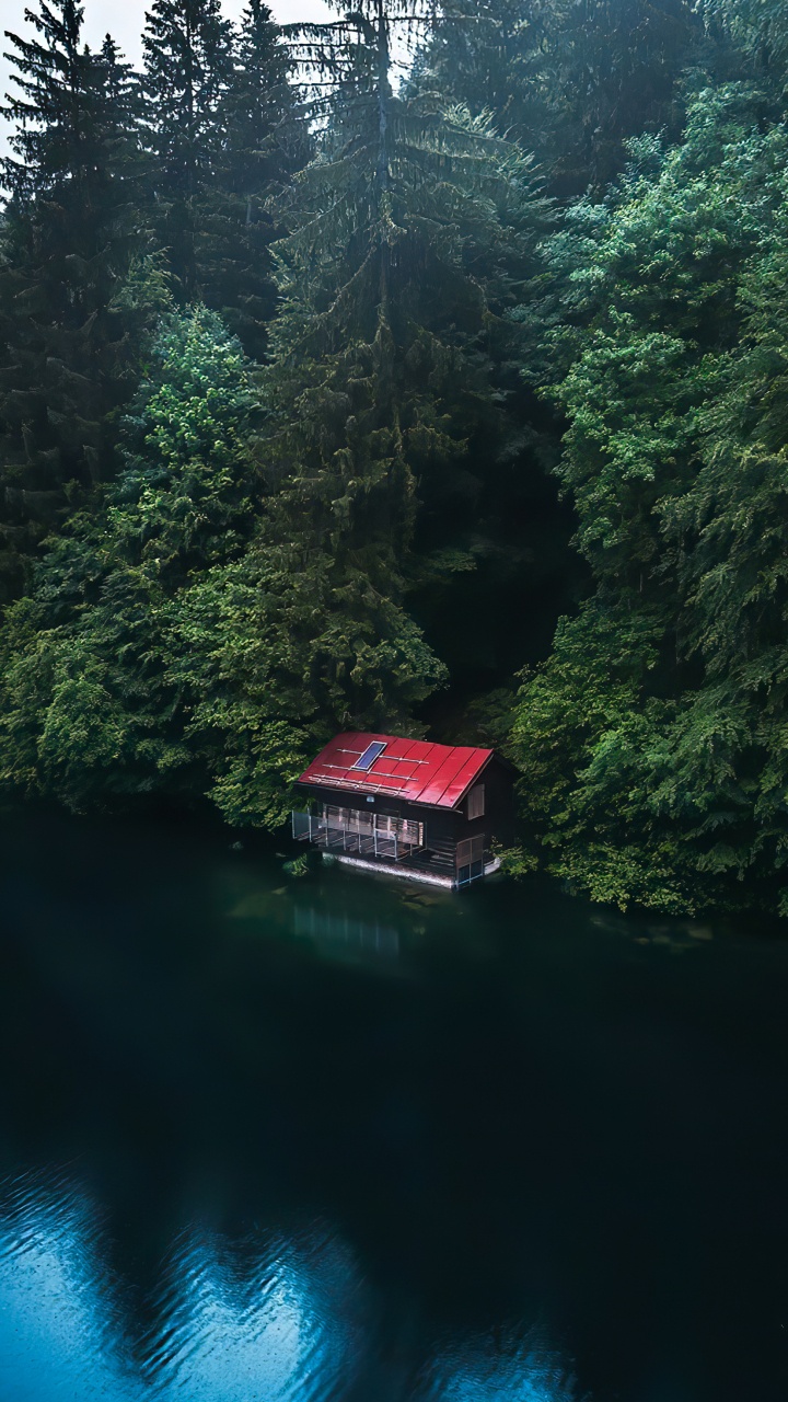 Larch, Damaksnis, Water Transportation, Wetland, Water. Wallpaper in 720x1280 Resolution