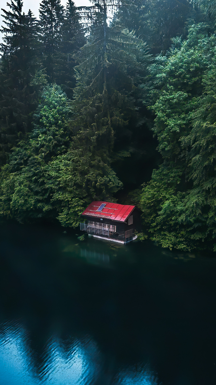 Larch, Damaksnis, Water Transportation, Wetland, Water. Wallpaper in 750x1334 Resolution