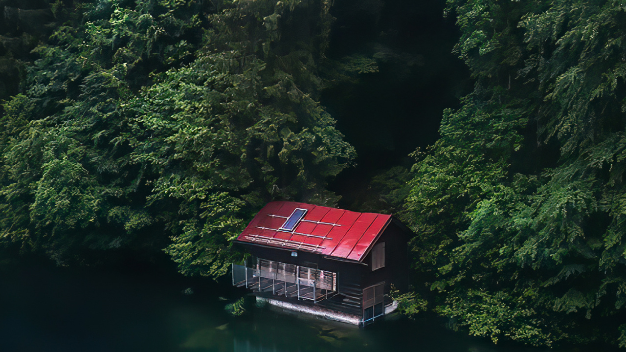 Mélèze, Damaksnis, le Transport de L'eau, Marécage, Eau. Wallpaper in 1280x720 Resolution
