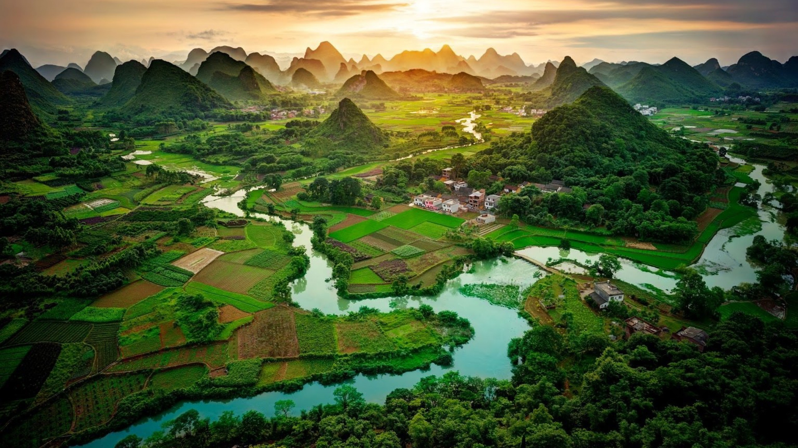 Aerial View of Green Trees and River During Daytime. Wallpaper in 2560x1440 Resolution