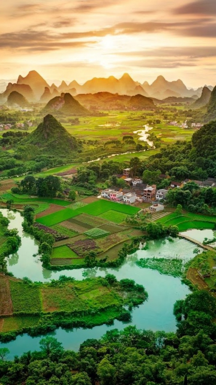 Aerial View of Green Trees and River During Daytime. Wallpaper in 720x1280 Resolution