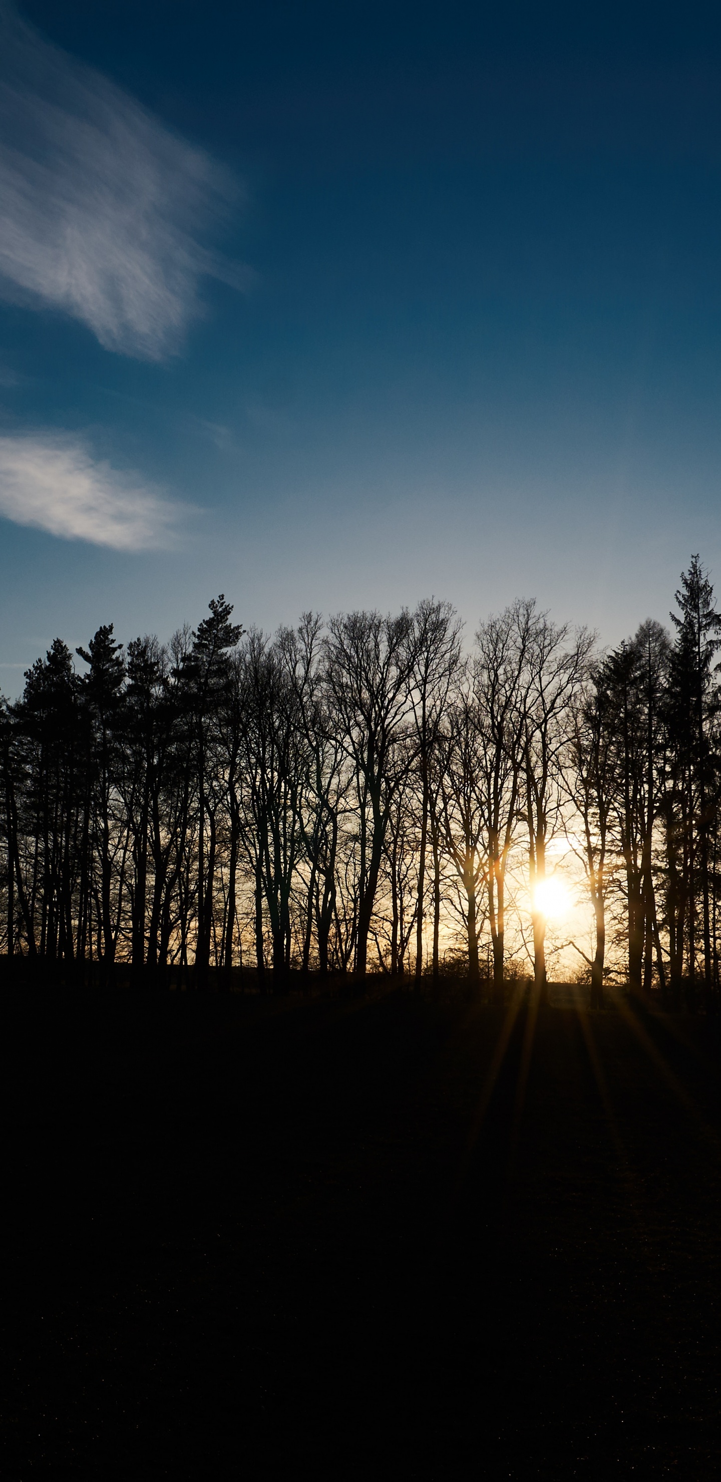 Matin, Aube, Paysage Naturel, Nature, Horizon. Wallpaper in 1440x2960 Resolution