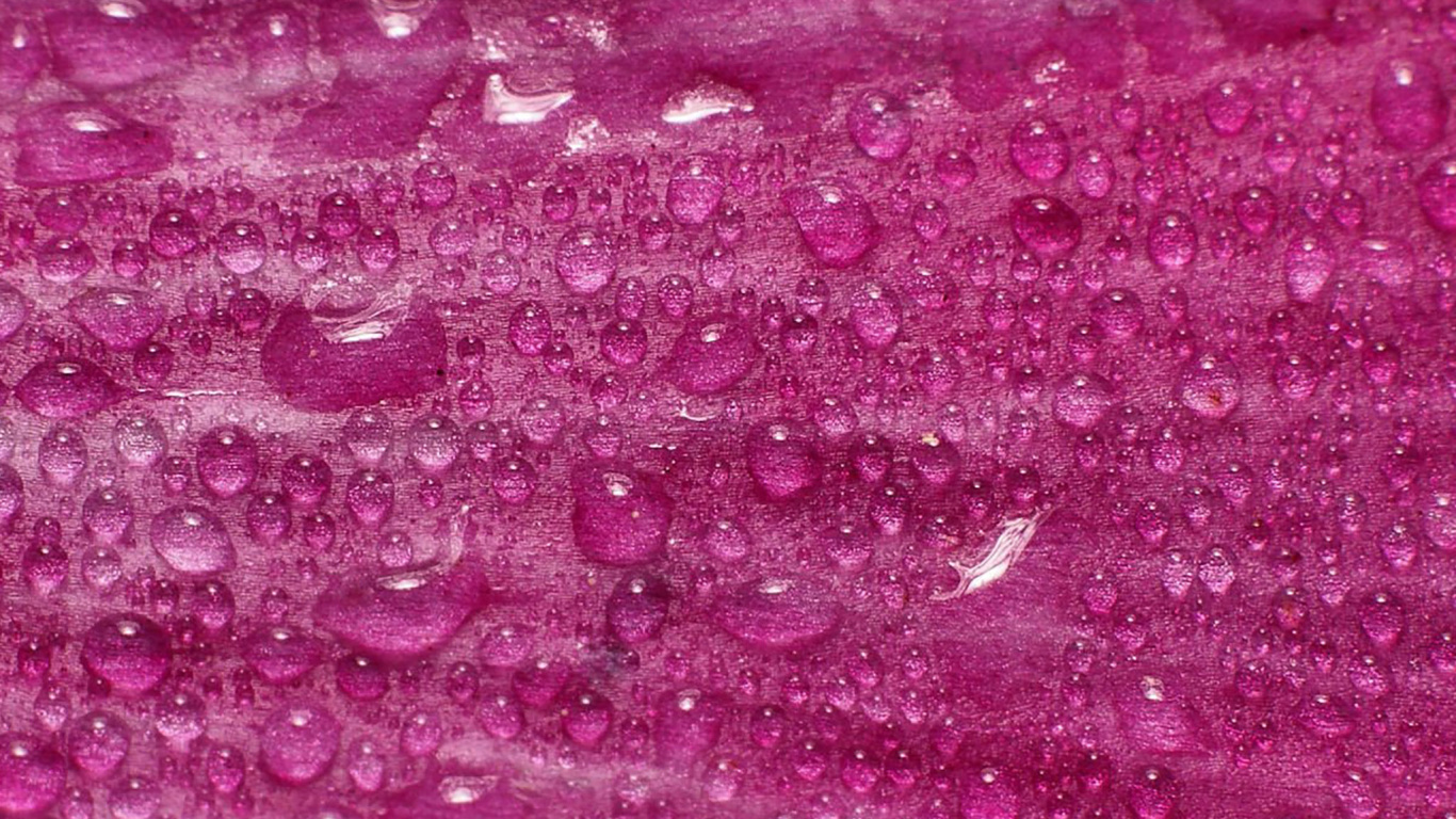 Peinture Abstraite Rose et Blanche. Wallpaper in 1366x768 Resolution