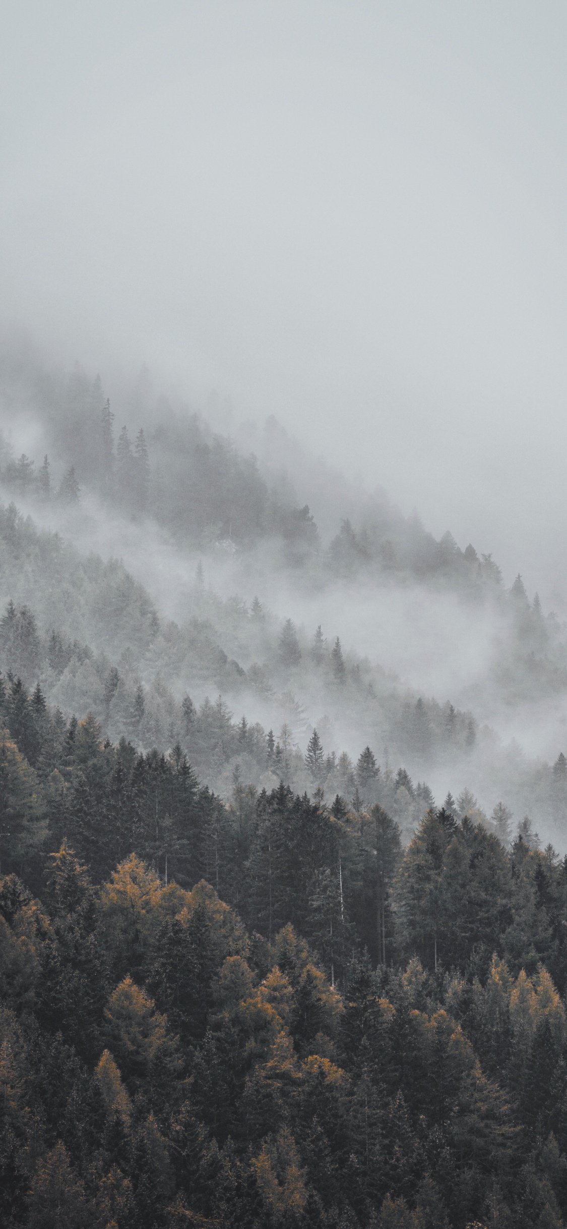 Nebel, Cloud, Dunst, Bergstation, Atmosphäre. Wallpaper in 1125x2436 Resolution