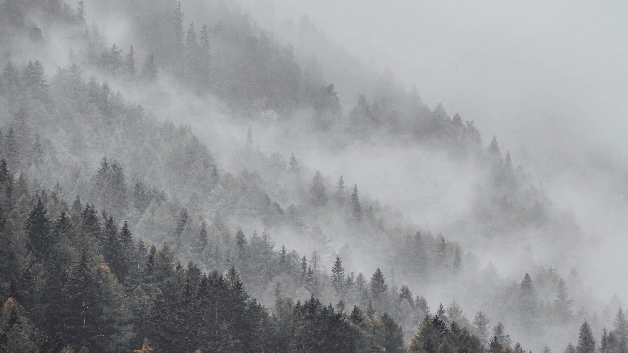 Niebla, Bruma, Neblina, Estación de la Colina, Ambiente. Wallpaper in 2560x1440 Resolution