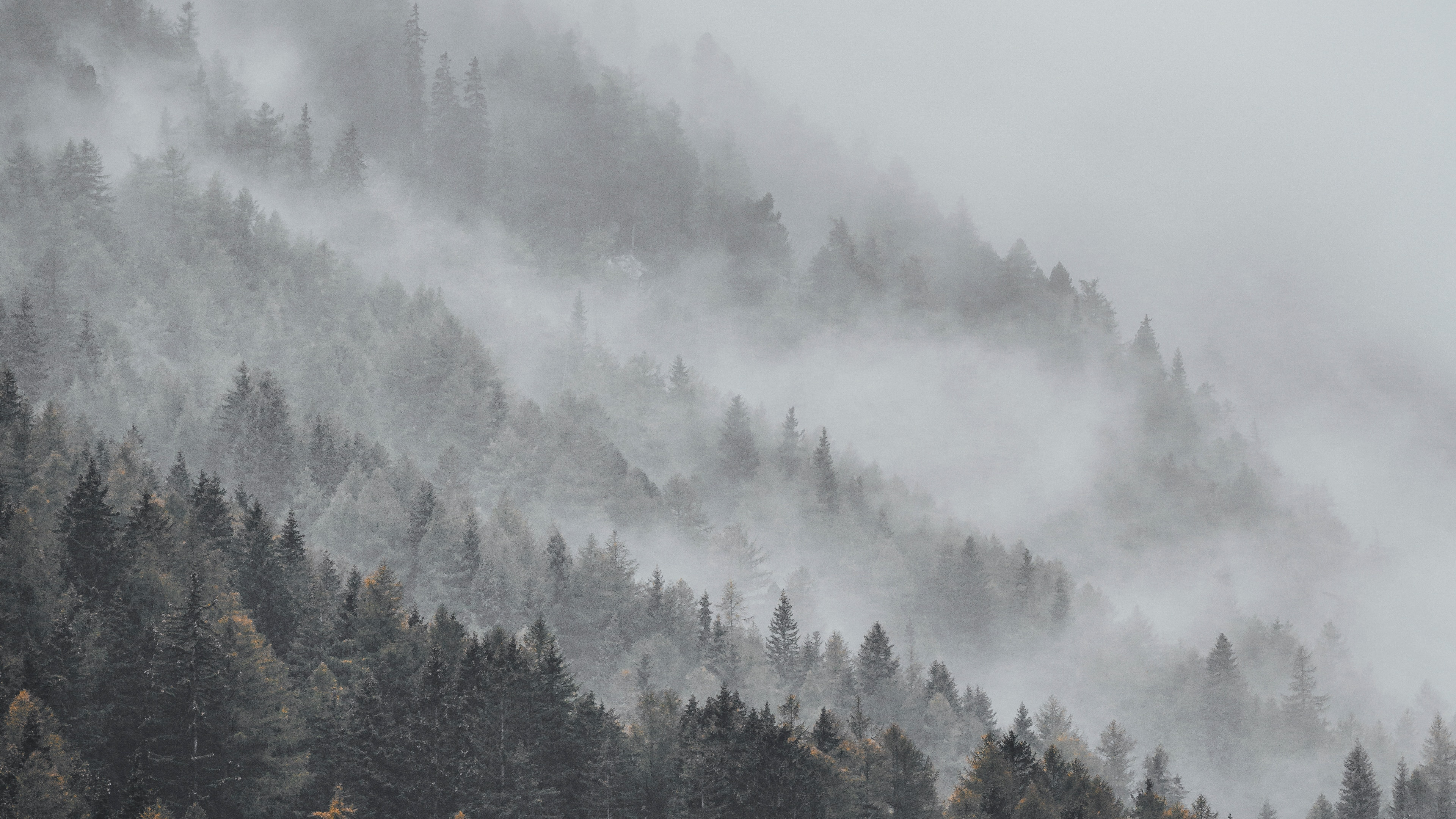 Niebla, Bruma, Neblina, Estación de la Colina, Ambiente. Wallpaper in 3840x2160 Resolution