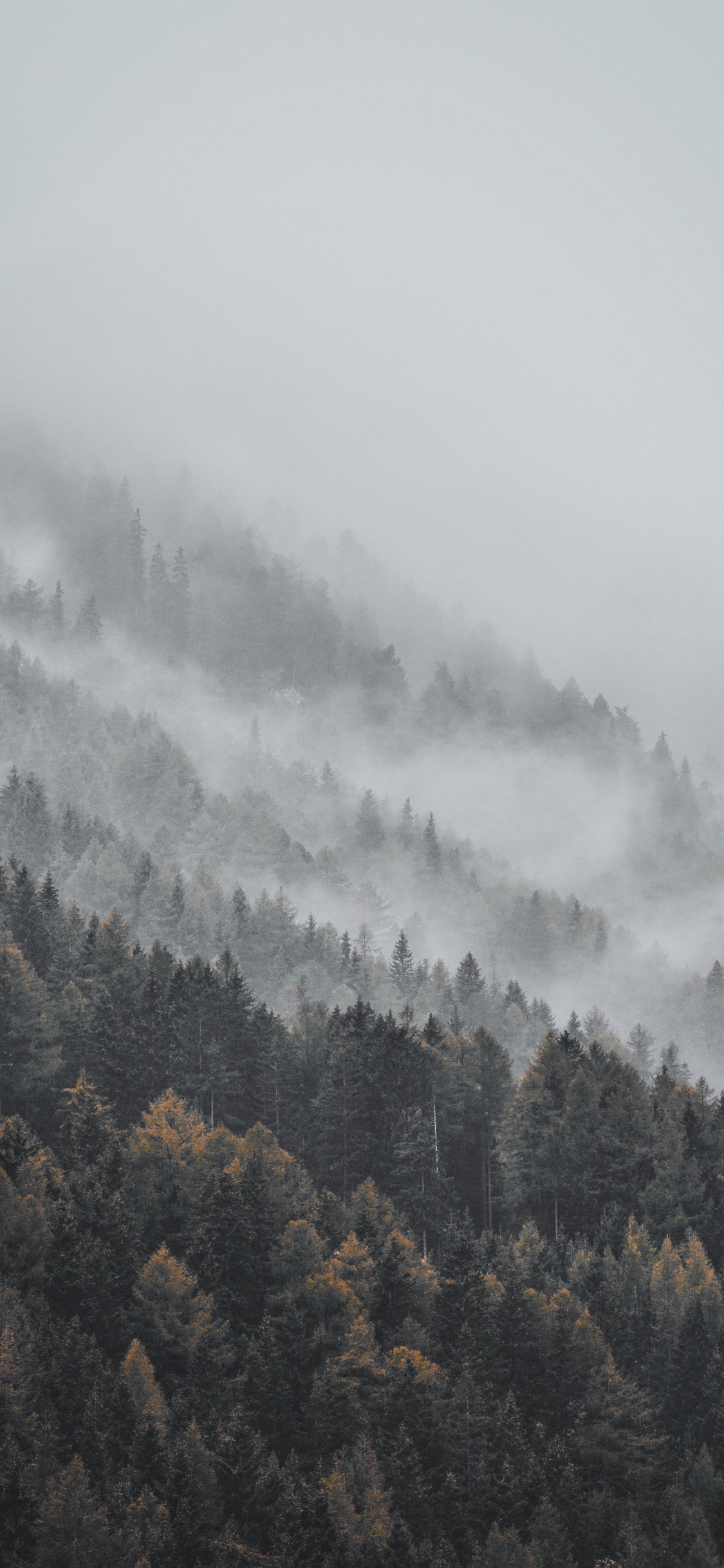 Mist, Fog, Cloud, Haze, Hill Station. Wallpaper in 1125x2436 Resolution