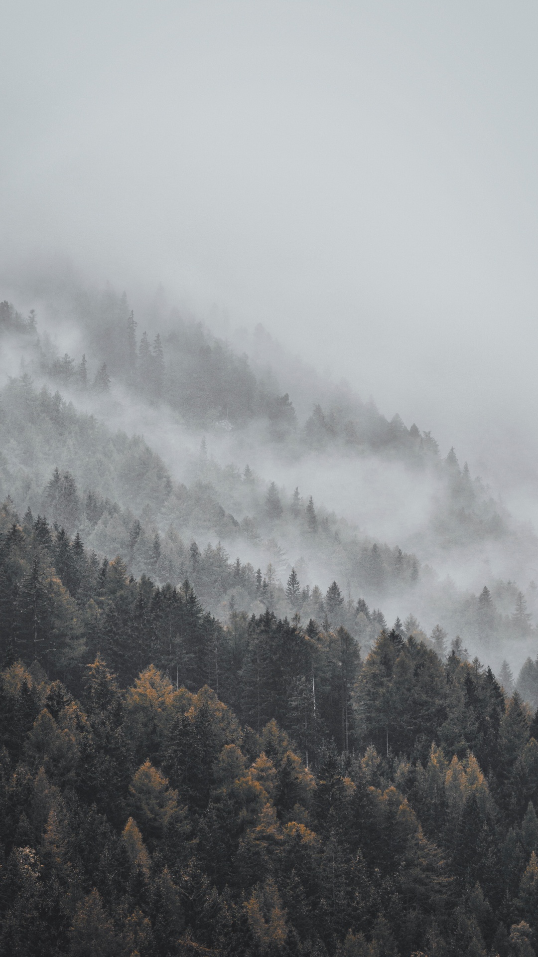 雾, 阴霾, 山站, 气氛, 天空 壁纸 1080x1920 允许
