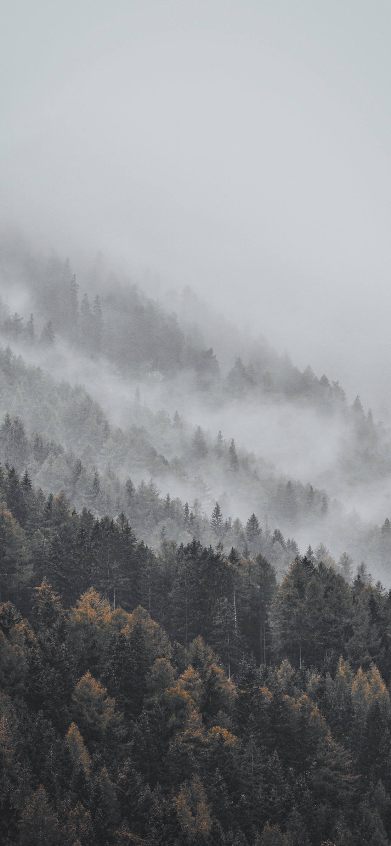 雾, 阴霾, 山站, 气氛, 天空 壁纸 1242x2688 允许