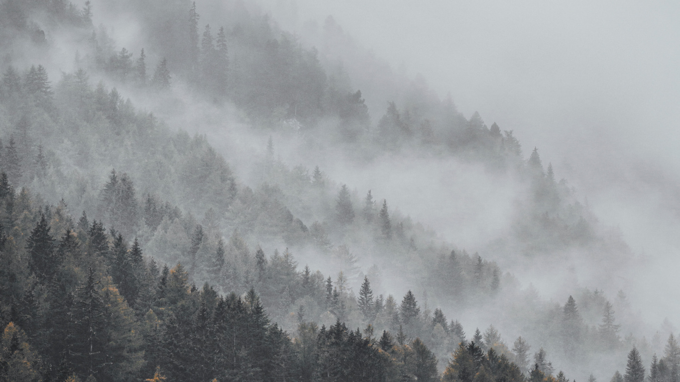 雾, 阴霾, 山站, 气氛, 天空 壁纸 1366x768 允许