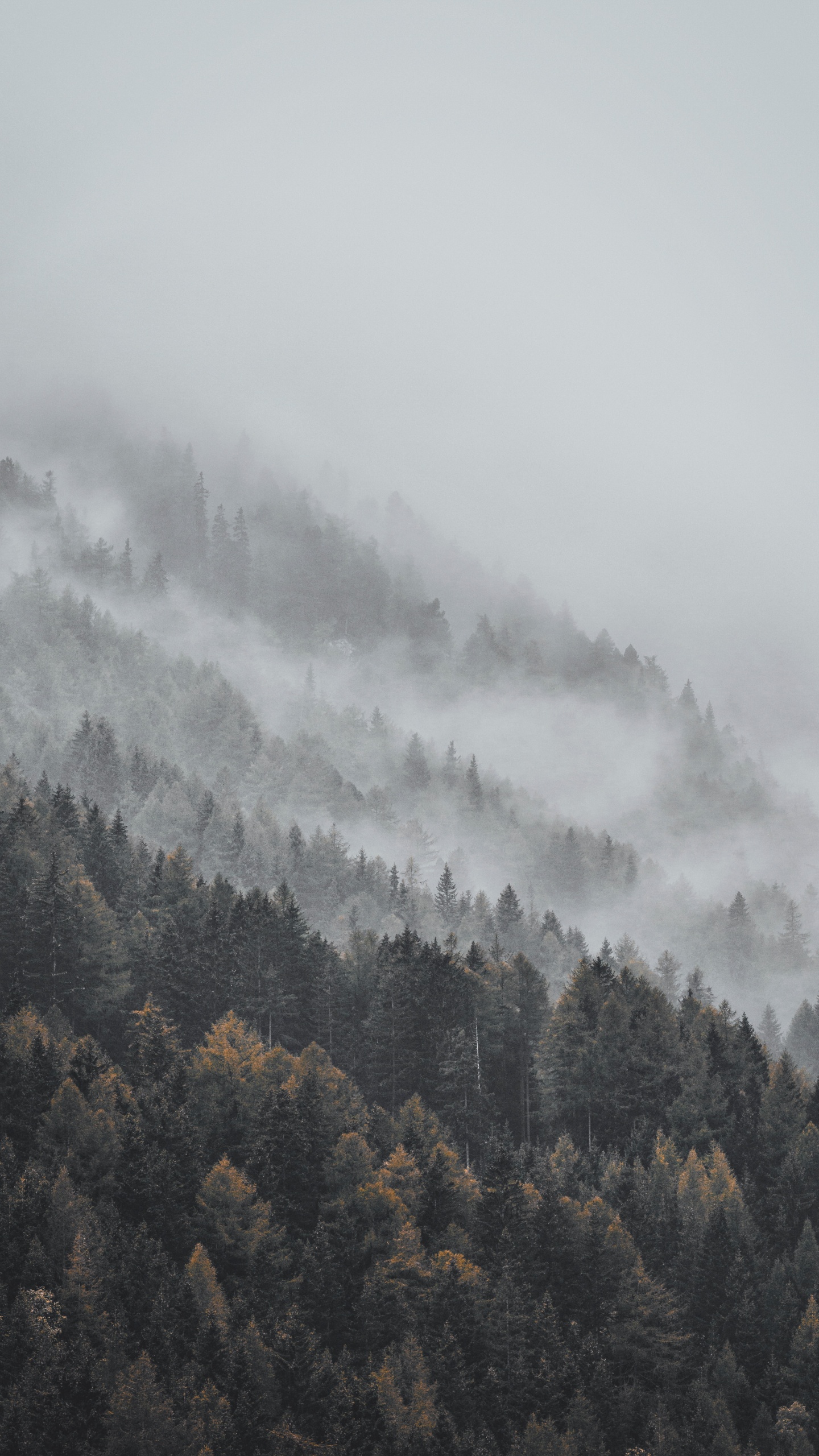 雾, 阴霾, 山站, 气氛, 天空 壁纸 1440x2560 允许