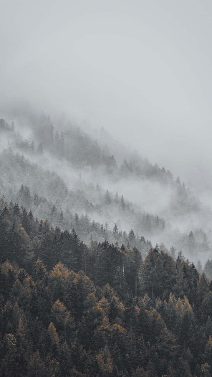 雾, 阴霾, 山站, 气氛, 天空 壁纸 720x1280 允许