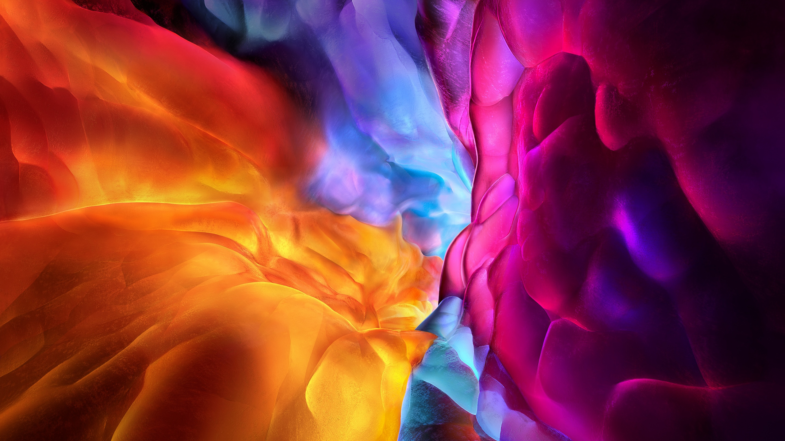 IPad, Ipad Pro, Apple, IPad Pro 2020, Äpfeln. Wallpaper in 2560x1440 Resolution