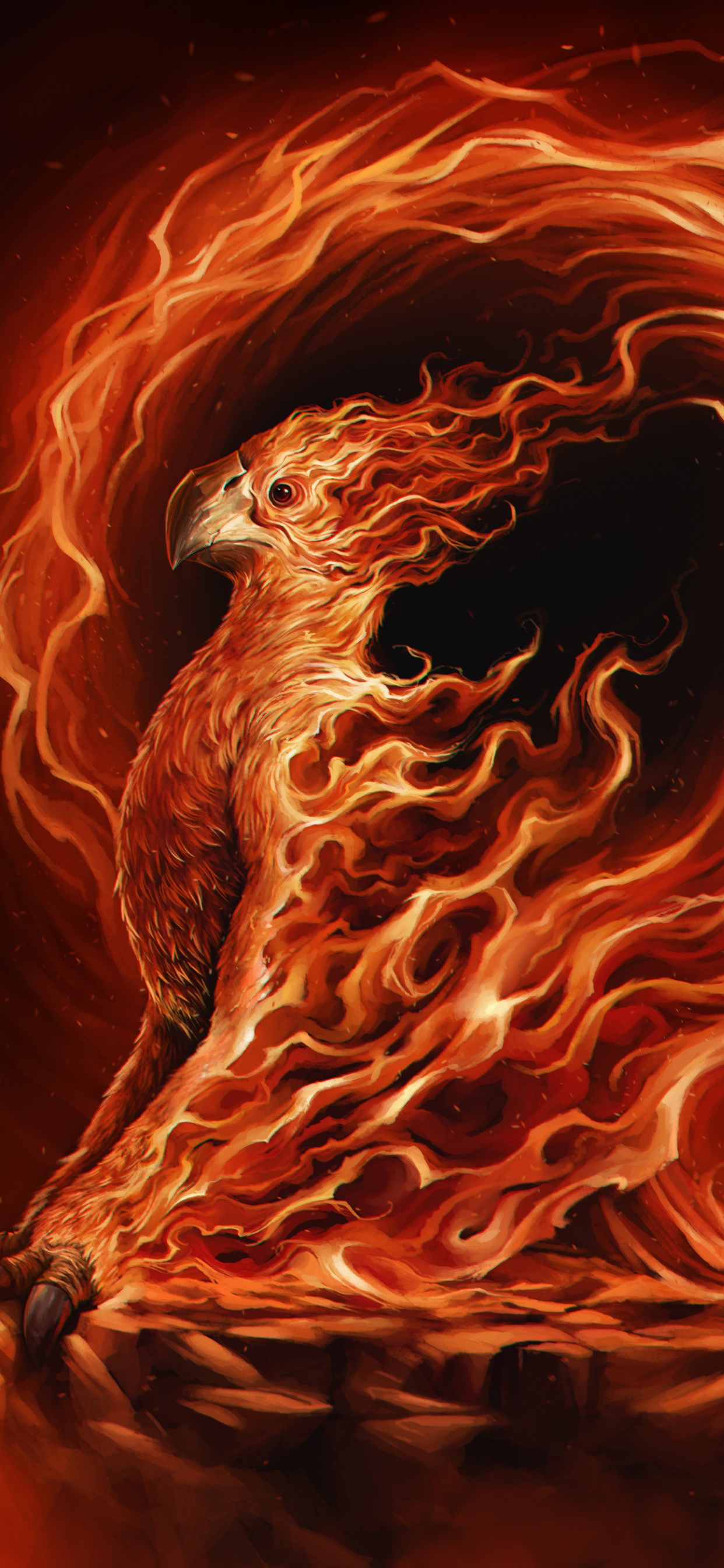 Brown and White Fire Illustration. Wallpaper in 1242x2688 Resolution