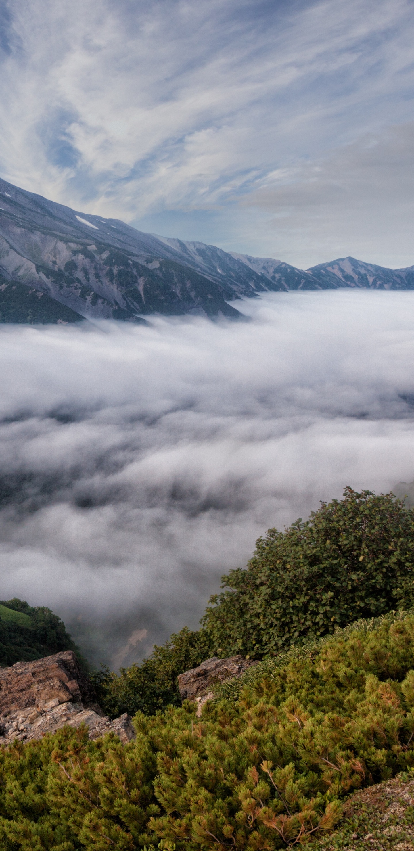 Tagsüber Grüner Und Schwarzer Berg Unter Weißen Wolken. Wallpaper in 1440x2960 Resolution