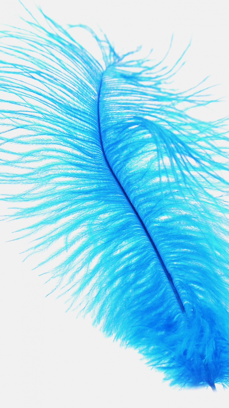 Pluma Marrón Sobre Fondo Blanco. Wallpaper in 750x1334 Resolution