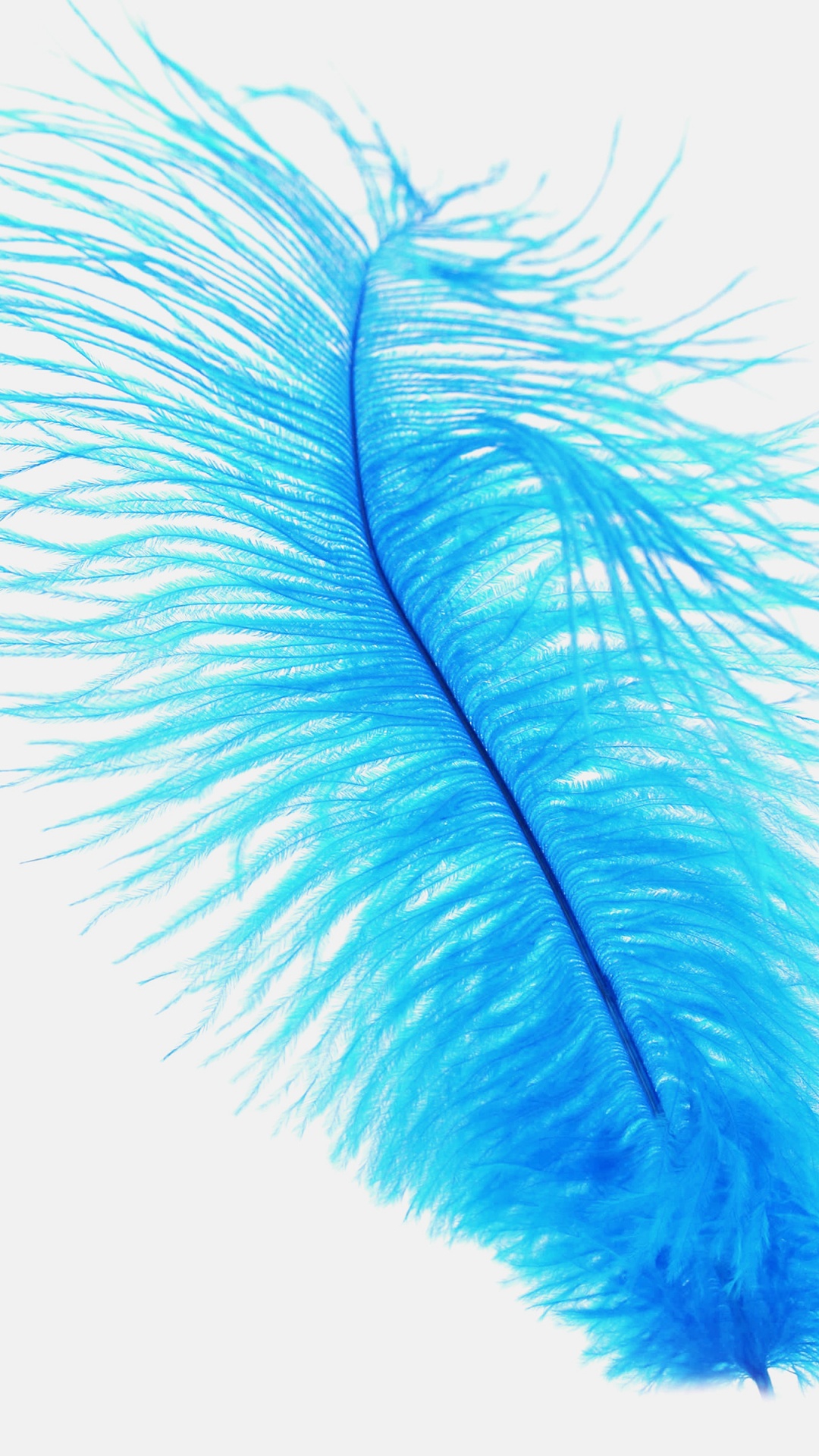 Brown Feather on White Background. Wallpaper in 1080x1920 Resolution