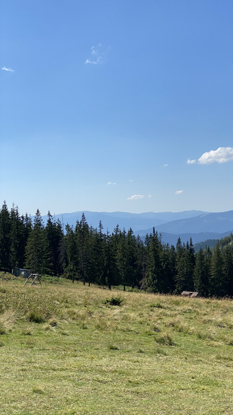 Danville, Canton de St Clair, Les Terres Beaucoup, Commerciale, Immobilier. Wallpaper in 750x1334 Resolution