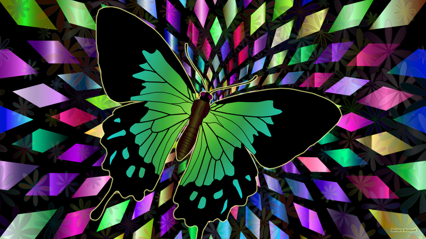 Ilustración de Mariposa Blanco y Negro Púrpura. Wallpaper in 1366x768 Resolution