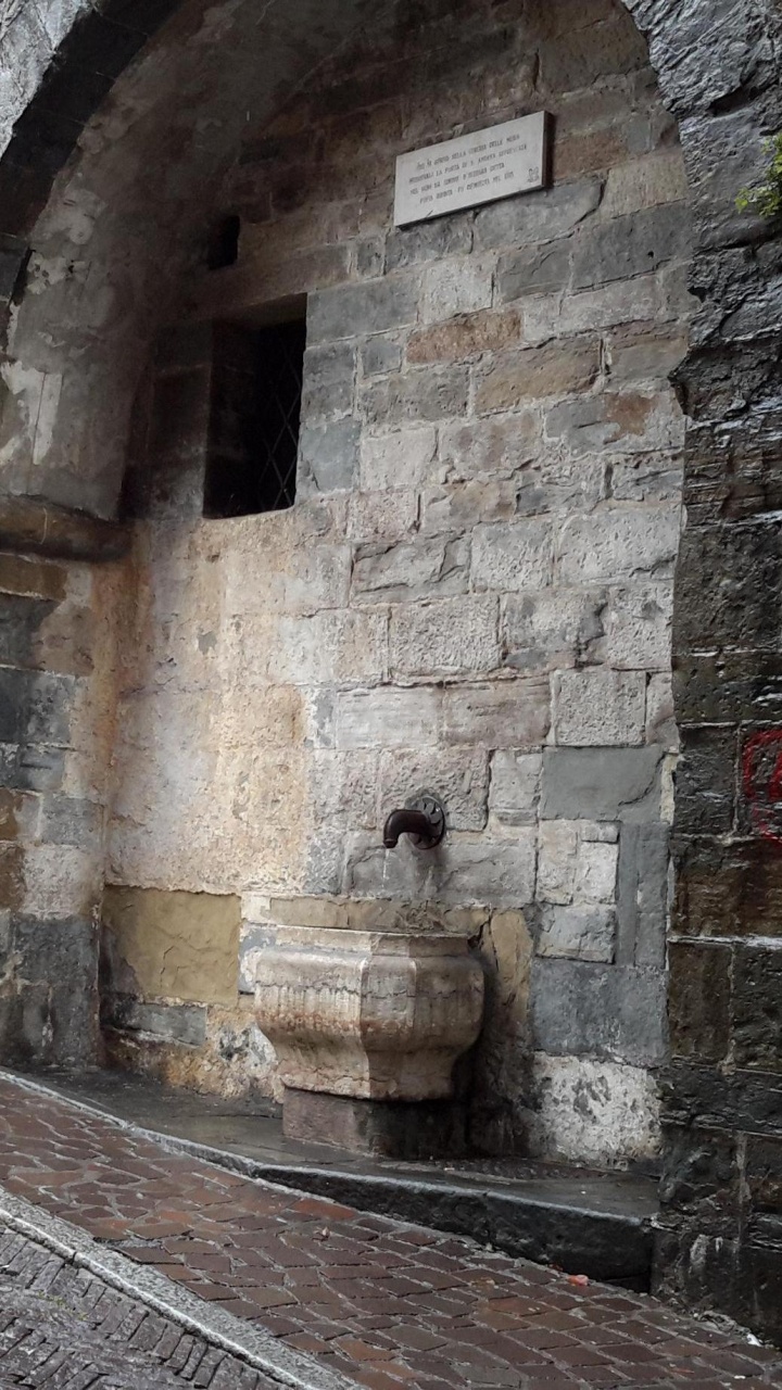 Mur de Briques Brunes Pendant la Journée. Wallpaper in 720x1280 Resolution