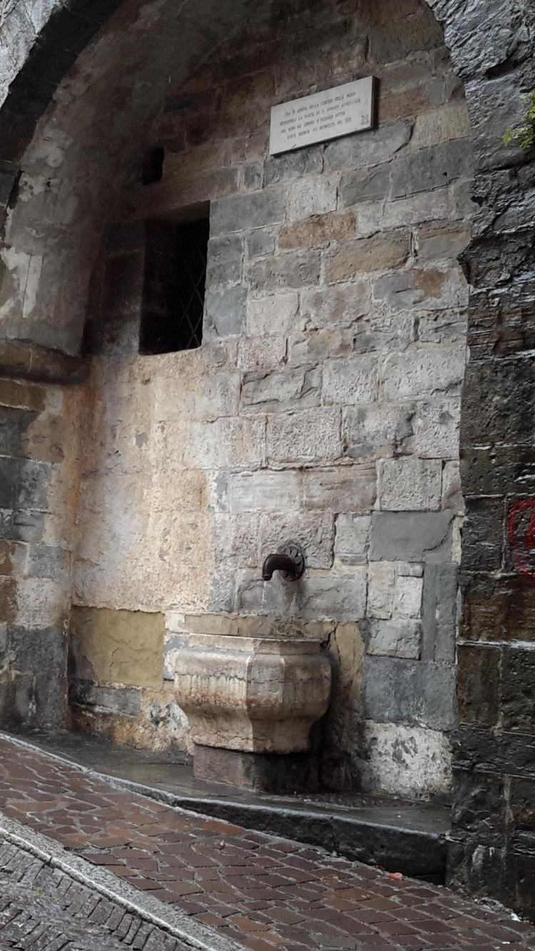 Brown Brick Wall During Daytime. Wallpaper in 750x1334 Resolution