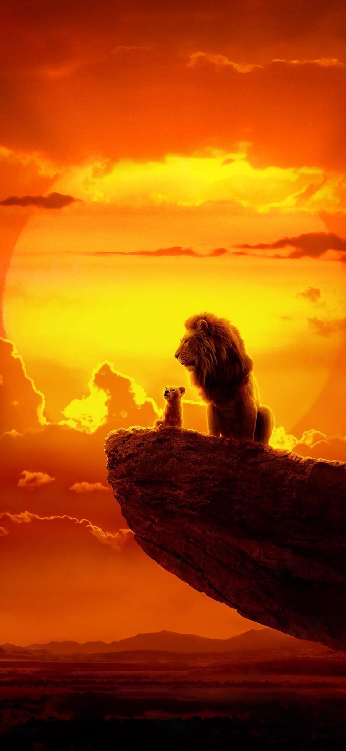 Ambiente, Afterglow, Naturaleza, Atardecer, Naranja. Wallpaper in 1125x2436 Resolution