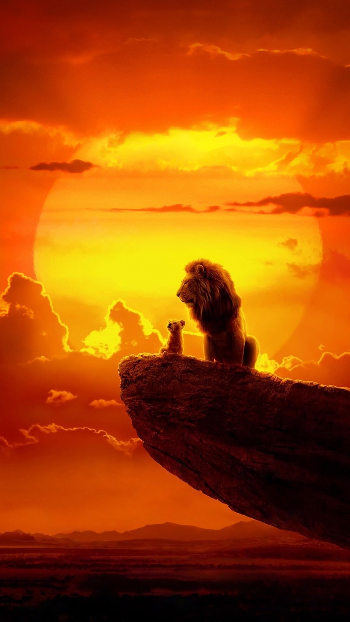 Ambiente, Afterglow, Naturaleza, Atardecer, Naranja. Wallpaper in 720x1280 Resolution