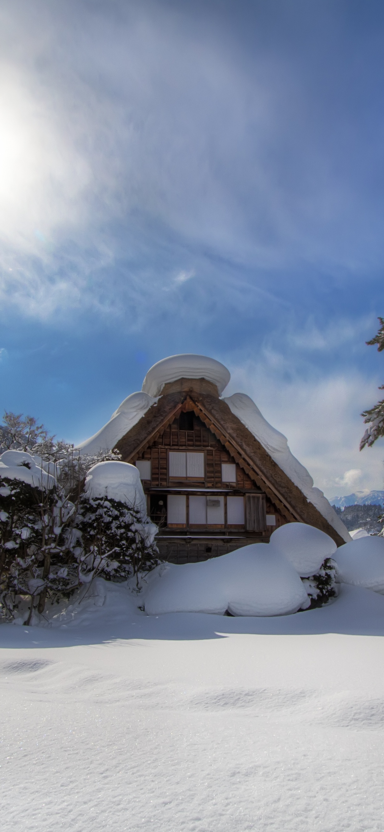 Maison en Bois Marron Sur un Sol Couvert de Neige Pendant la Journée. Wallpaper in 1242x2688 Resolution