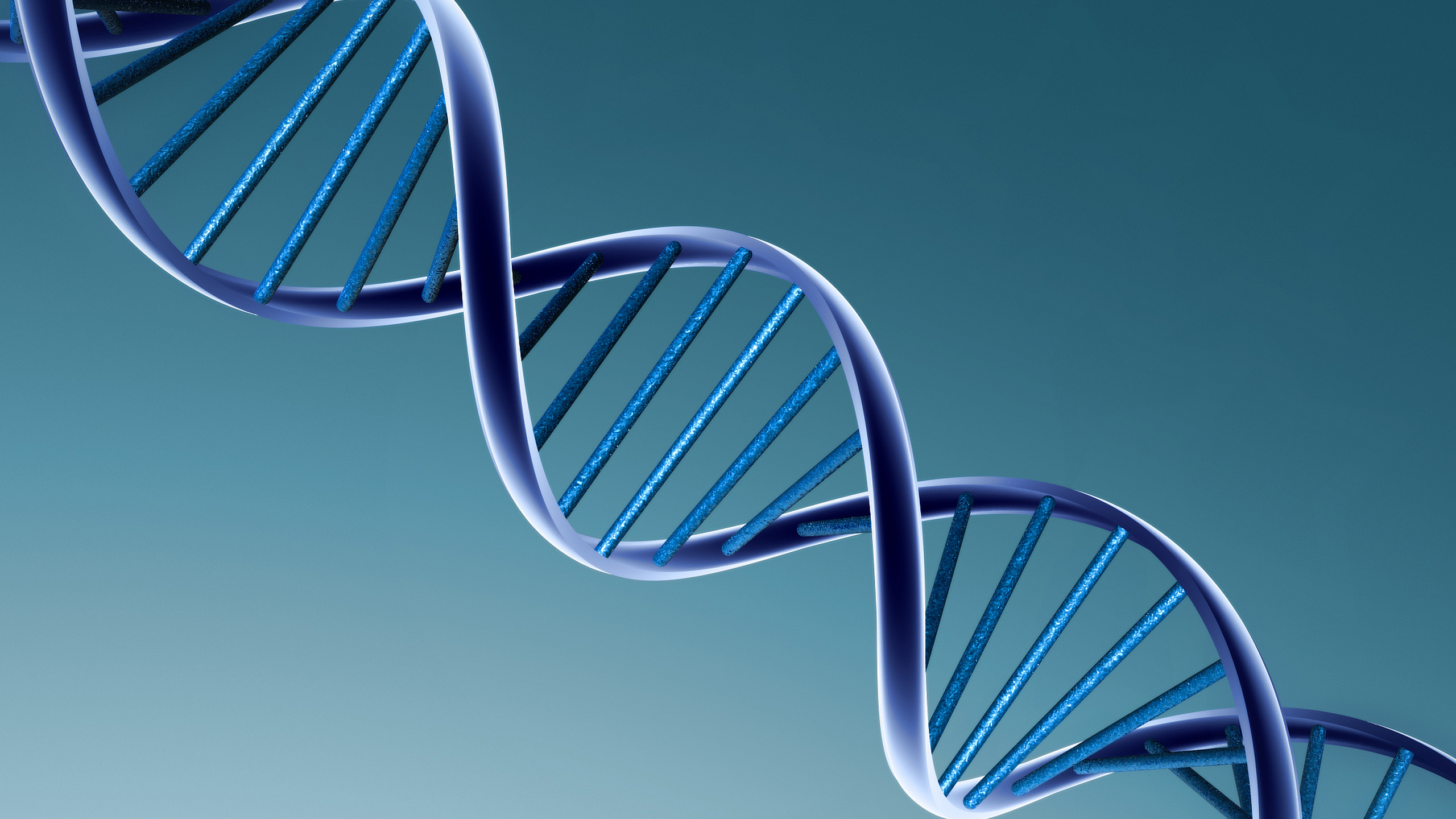 Dna, 结构 壁纸 2560x1440 允许