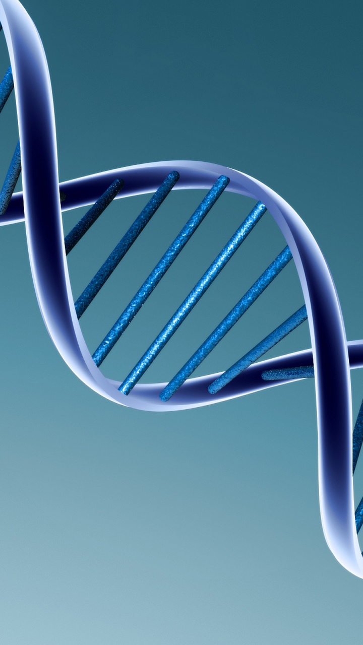 Dna, 结构 壁纸 720x1280 允许