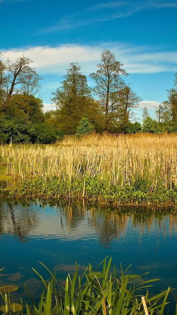Green Grass Field Near Body of Water Under Blue Sky During Daytime. Wallpaper in 720x1280 Resolution
