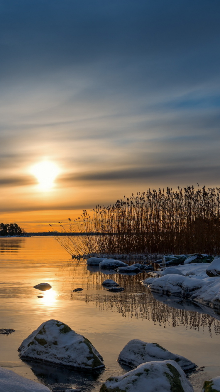 Body of Water Near Trees During Sunset. Wallpaper in 750x1334 Resolution