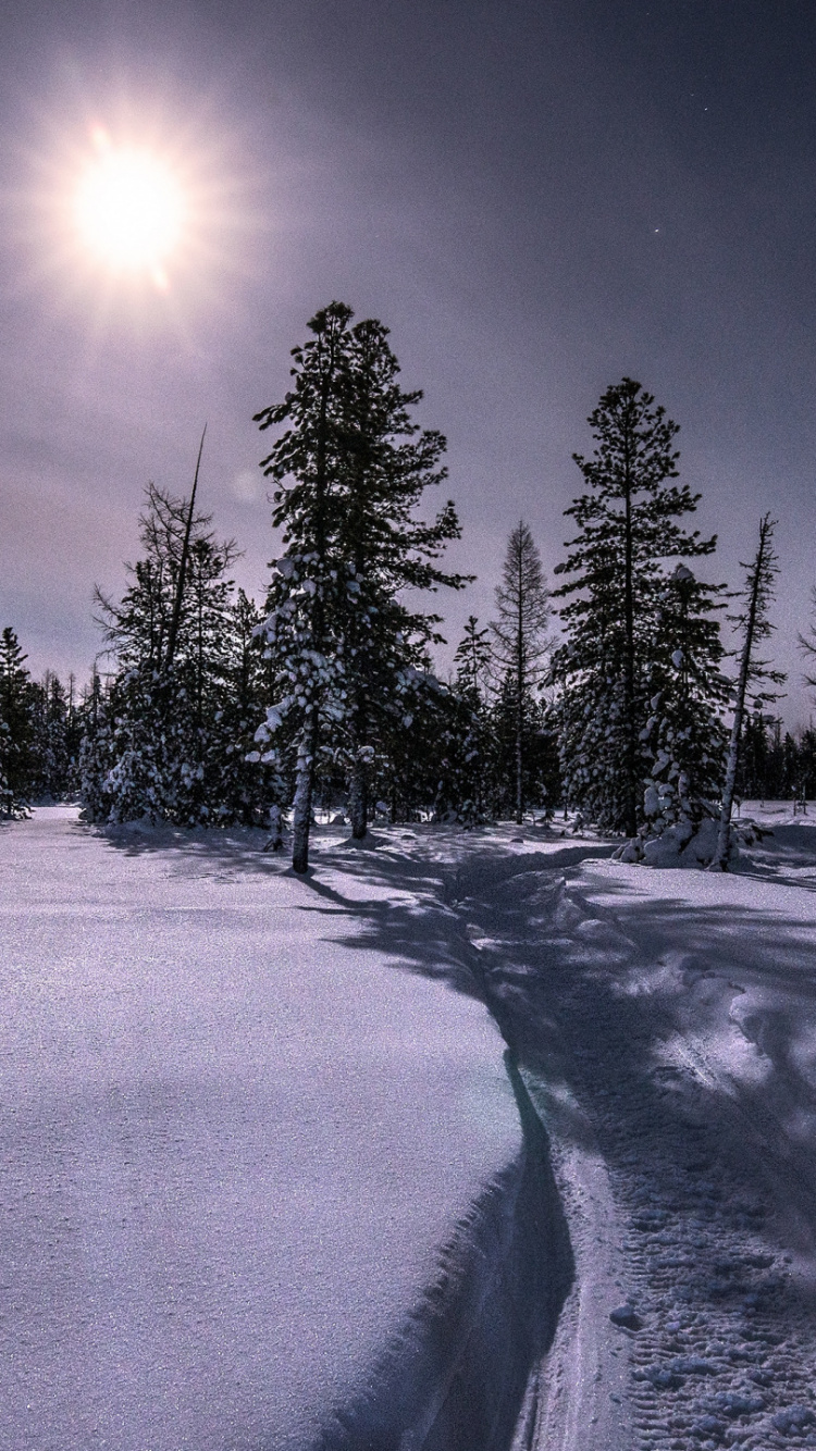 Hiver, Nature, Atmosphère, la Journée, Neige. Wallpaper in 750x1334 Resolution