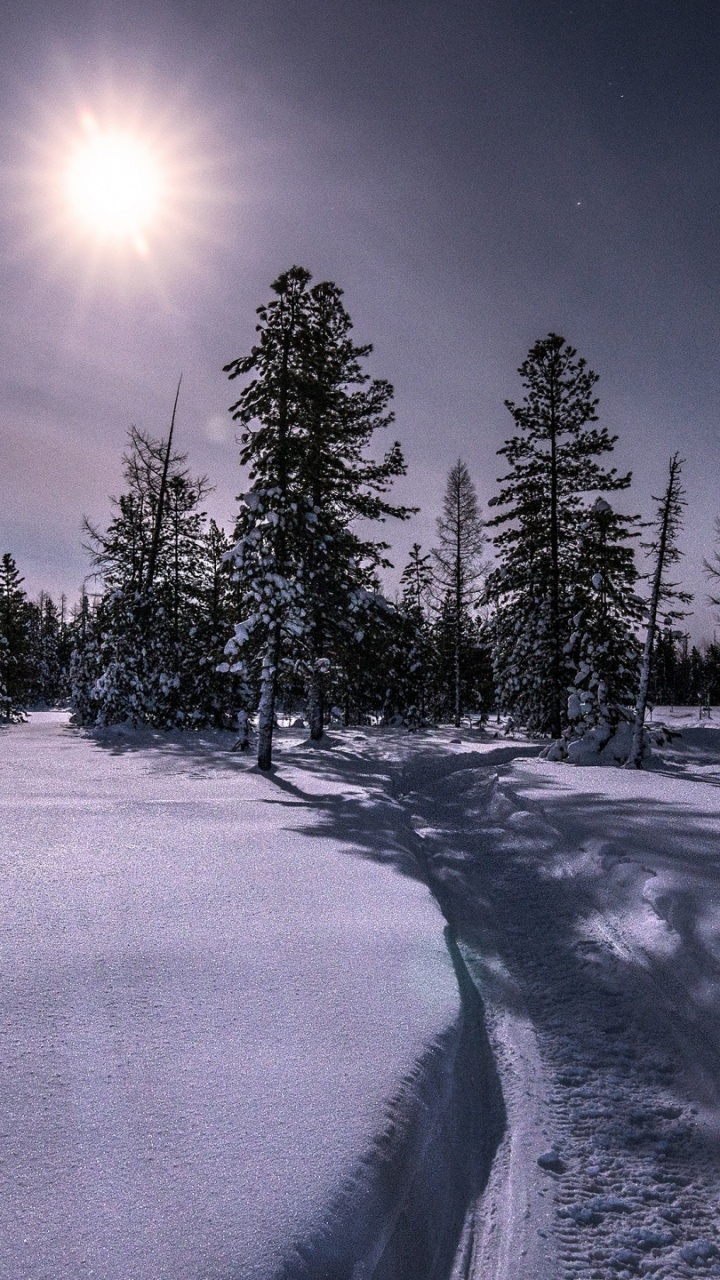 Winter, Nature, Tree, Atmosphere, Daytime. Wallpaper in 720x1280 Resolution