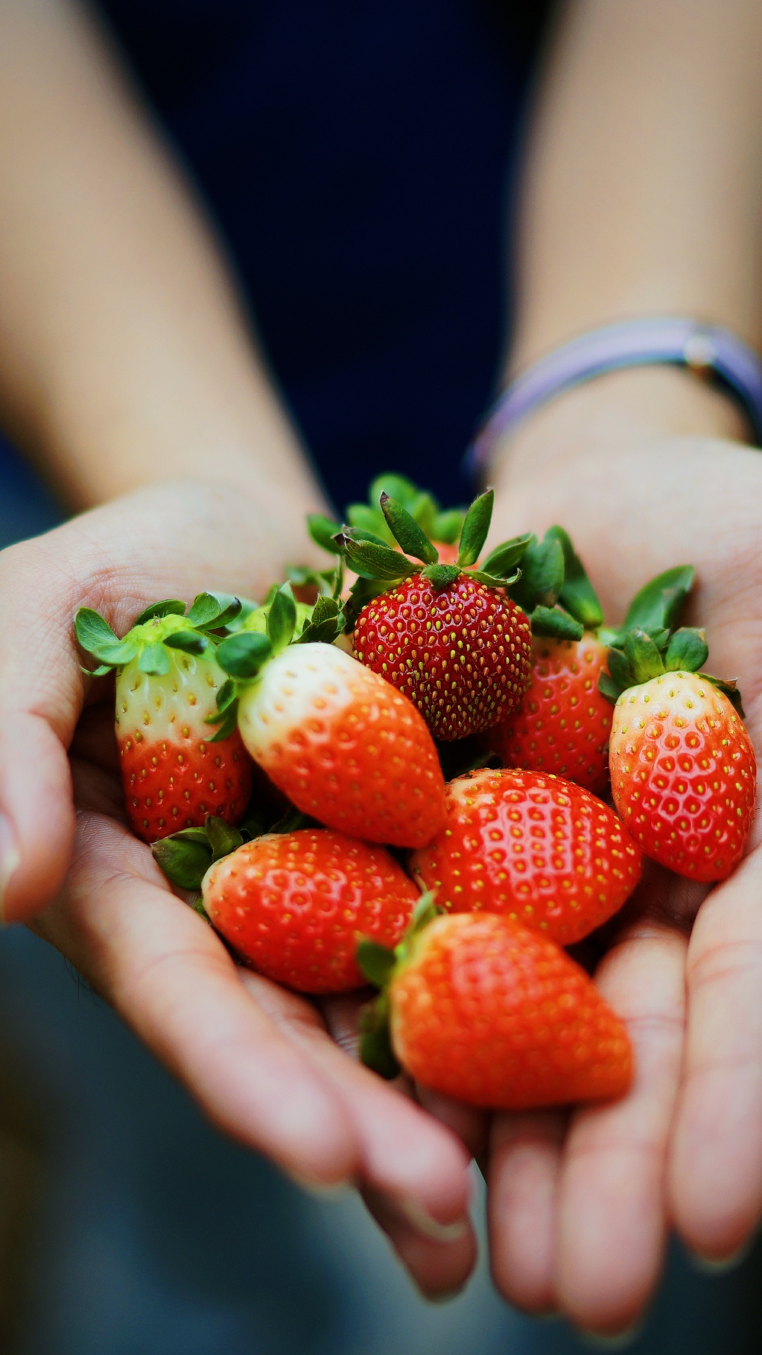 Person Holding Red Strawberries During Daytime. Wallpaper in 1080x1920 Resolution