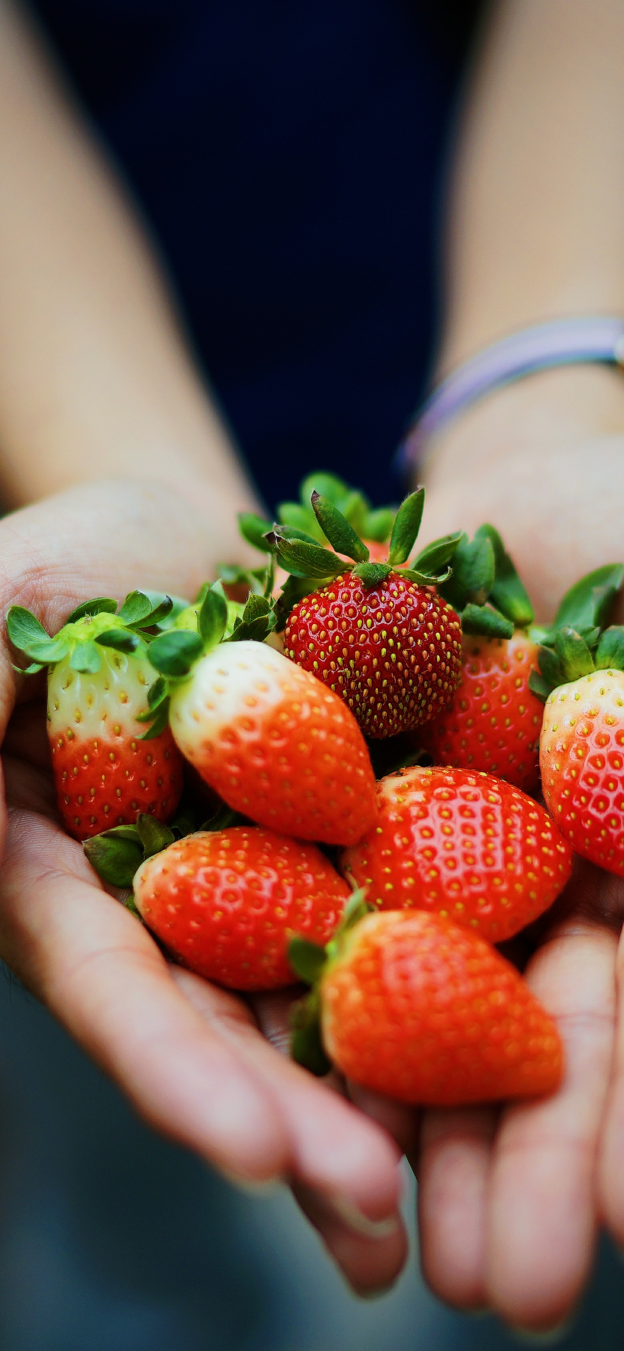 Person Holding Red Strawberries During Daytime. Wallpaper in 1242x2688 Resolution