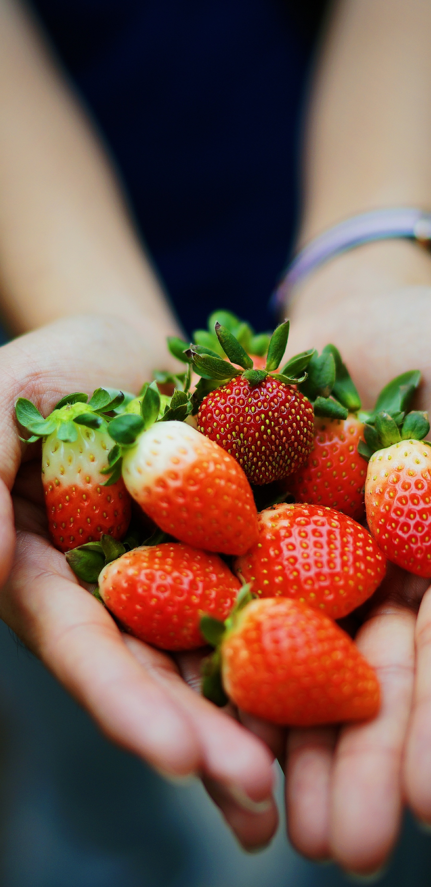 Personne Tenant Des Fraises Rouges Pendant la Journée. Wallpaper in 1440x2960 Resolution