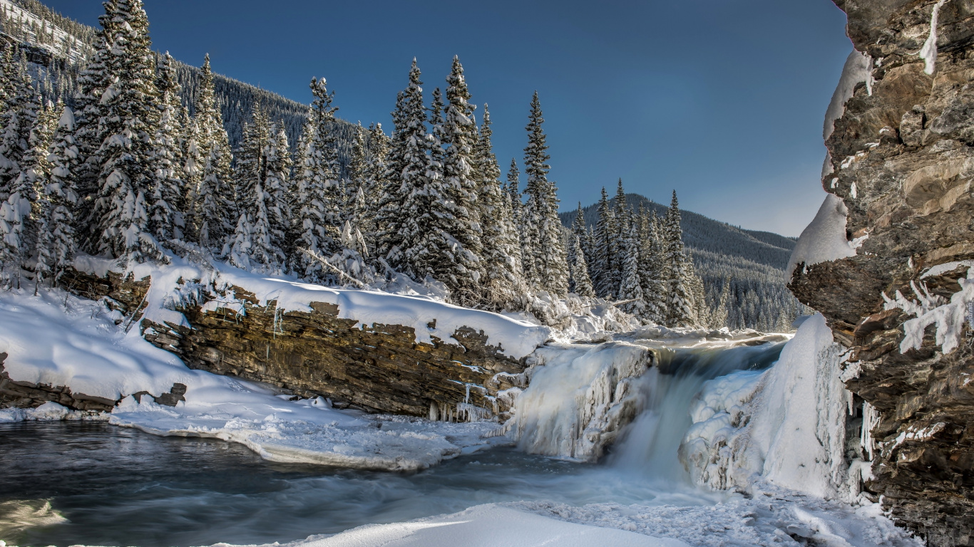 Snow Covered Pine Trees and Field During Daytime. Wallpaper in 1366x768 Resolution