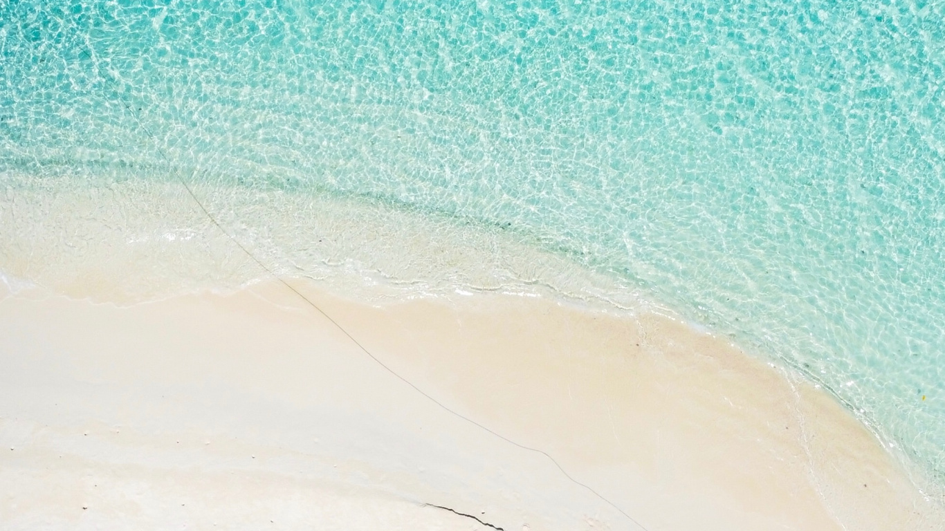 Blue, Palm Tree, Tree, Turquoise, Azure. Wallpaper in 1366x768 Resolution