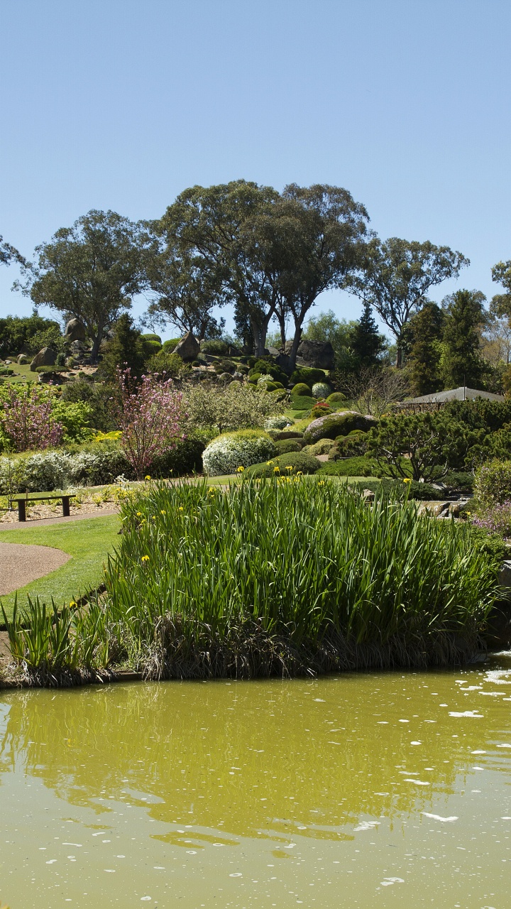 Green Grass Field Near Body of Water During Daytime. Wallpaper in 720x1280 Resolution
