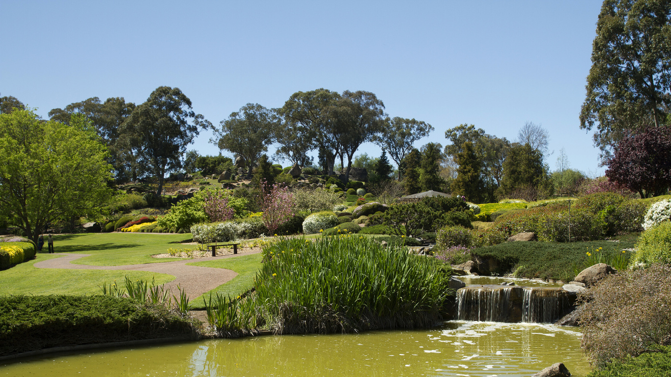 Champ D'herbe Verte Près du Plan D'eau Pendant la Journée. Wallpaper in 1366x768 Resolution