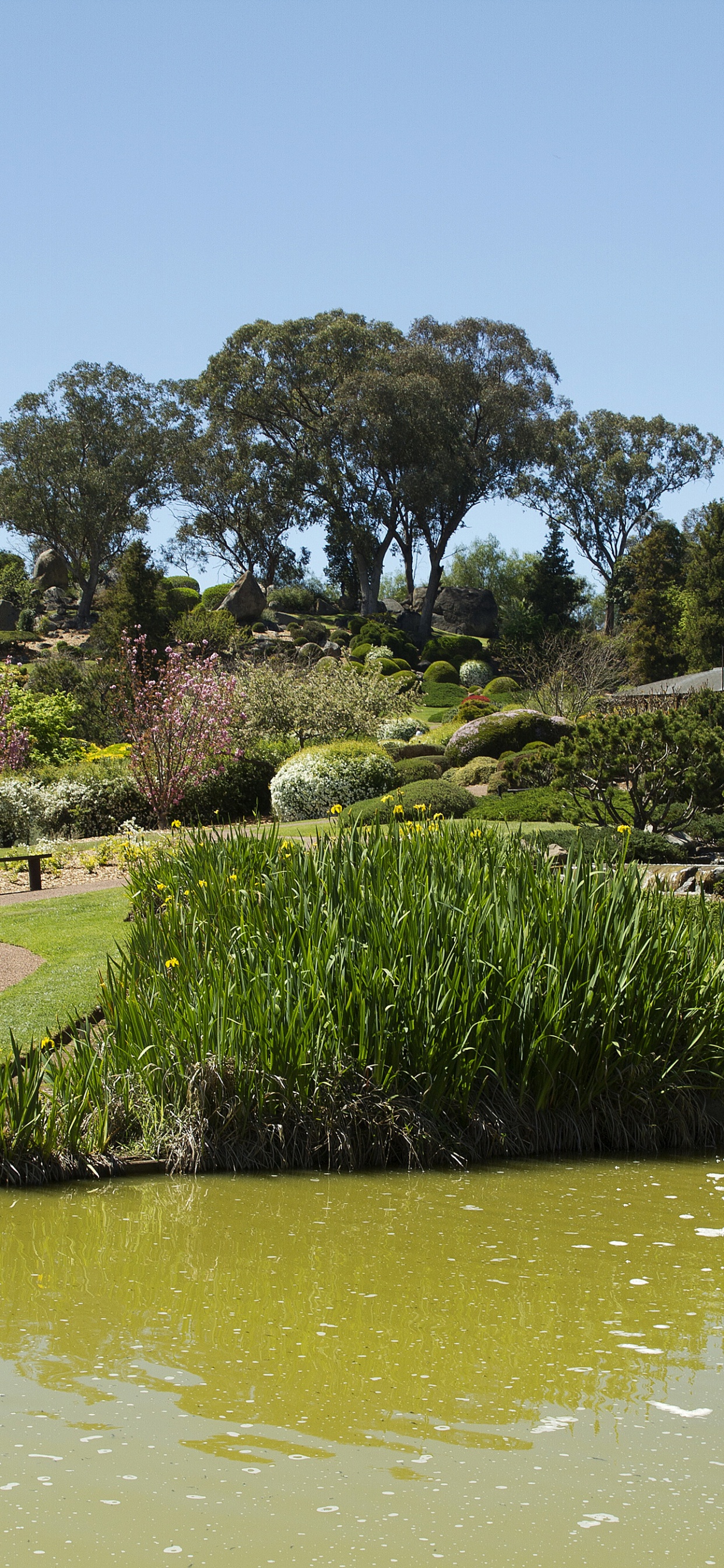 Tagsüber Grüne Wiese in Der Nähe Eines Gewässers Water. Wallpaper in 1242x2688 Resolution