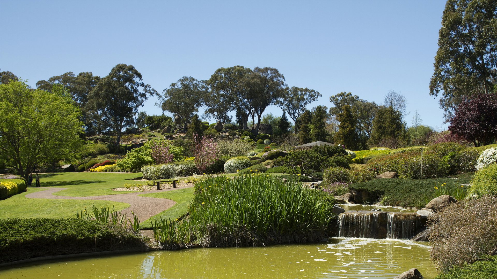 Tagsüber Grüne Wiese in Der Nähe Eines Gewässers Water. Wallpaper in 1920x1080 Resolution