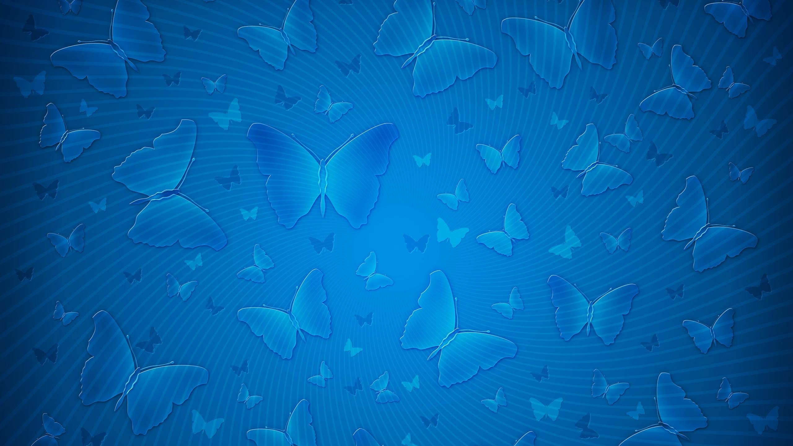 Pintura Abstracta Azul y Blanca. Wallpaper in 2560x1440 Resolution