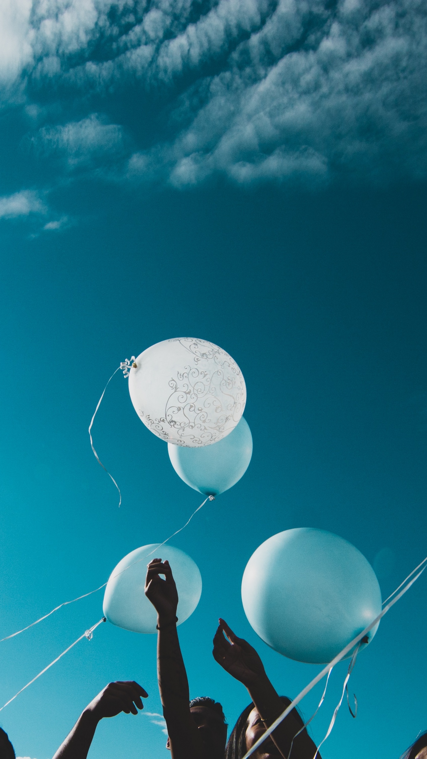 气囊, 人群, 天空, 乐趣, 航班 壁纸 1440x2560 允许