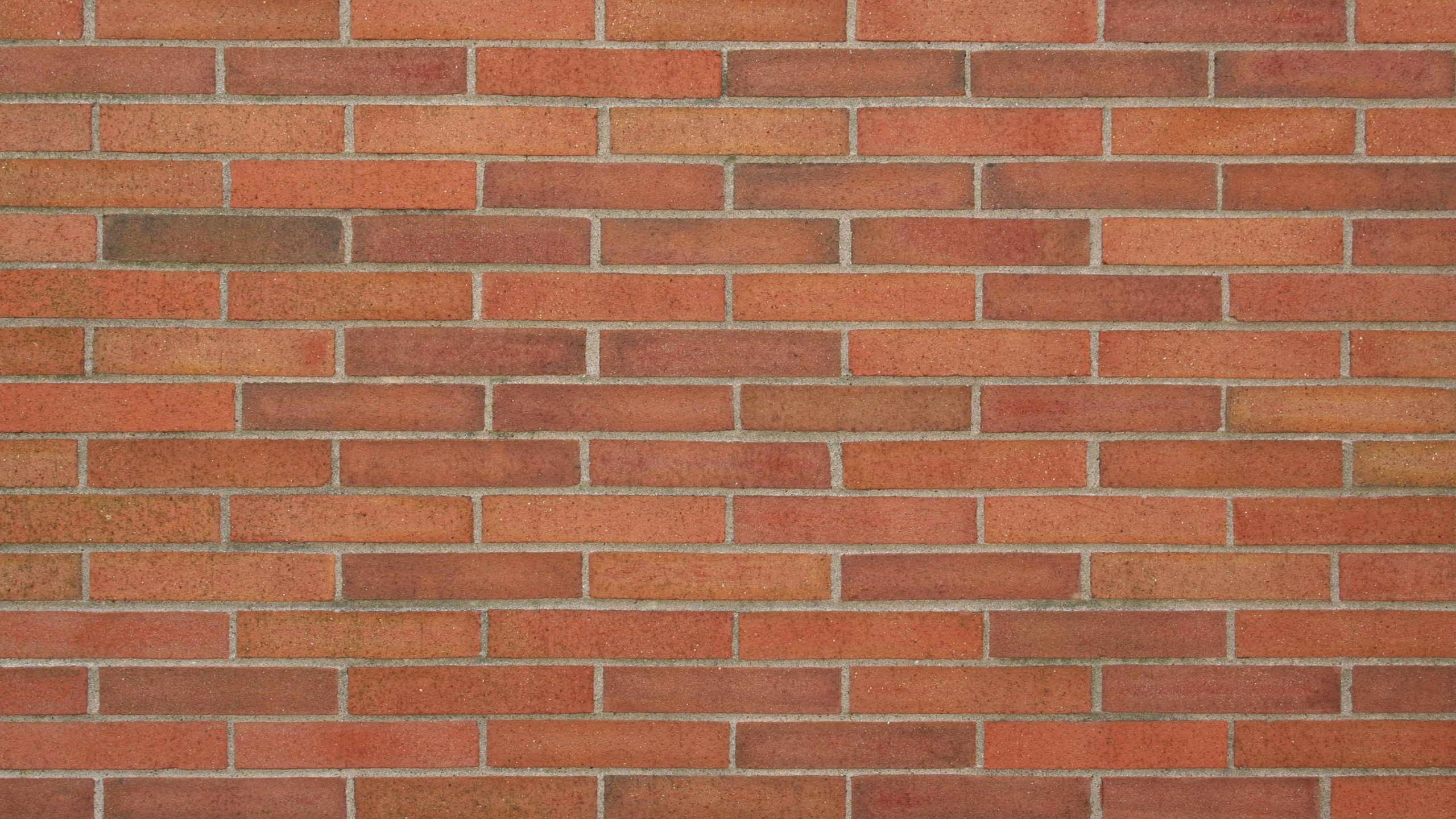 Brown Brick Wall During Daytime. Wallpaper in 2560x1440 Resolution