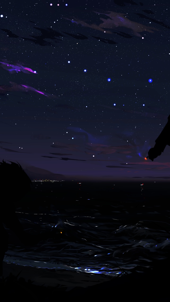 Anime, Anime Art, Silhouette, Painting, Atmosphere. Wallpaper in 720x1280 Resolution